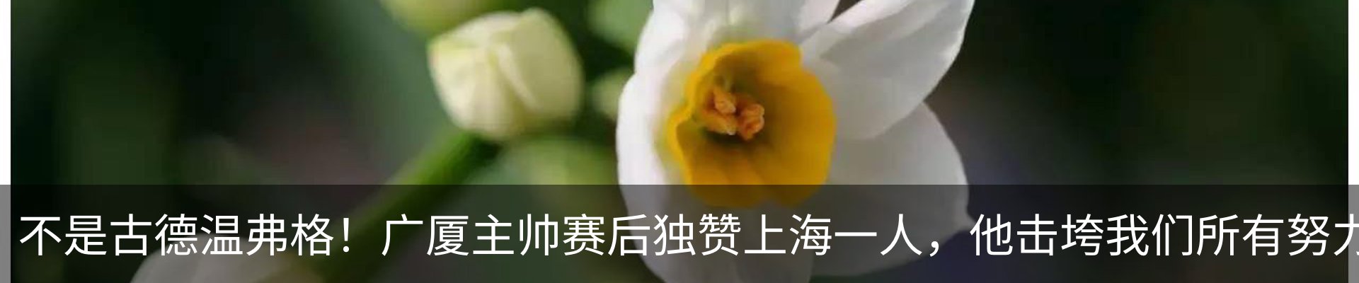 资讯动态