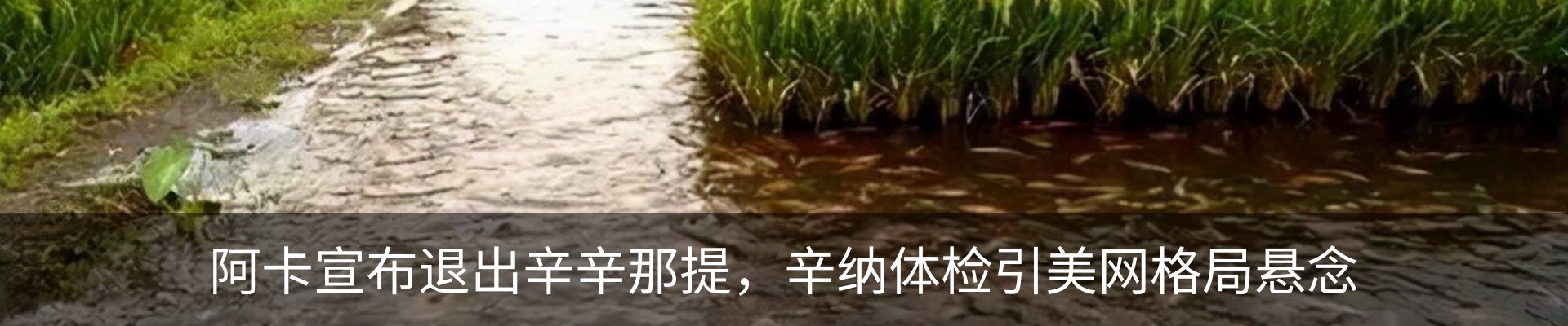 资讯动态